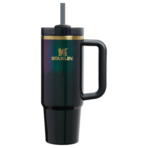 Car-Cup Friendly The Wicked for Good Quencher H2.0 Flowstate Tumbler D246P - Double-Wall Vacuum Insulated Travel Tumbler with Straw - Elphaba For Good