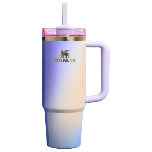 Car-Cup Friendly The Wicked for Good Quencher H2.0 Flowstate Tumbler D246P - Double-Wall Vacuum Insulated Travel Tumbler with Straw - Glinda For Good