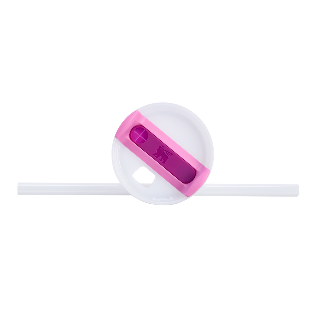 Splash-Resistant FlowState The Quencher H2.O Flowstate Tumbler D068Z - Premium Stainless Steel Straw Cup for All-Day Hydration Detail
