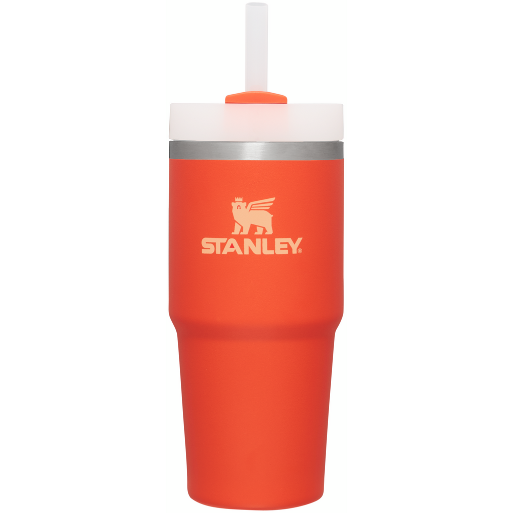 Large Capacity The Quencher H2.0 Flowstate Tumbler D214X - Premium Stainless Steel Straw Cup for All-Day Hydration Detail